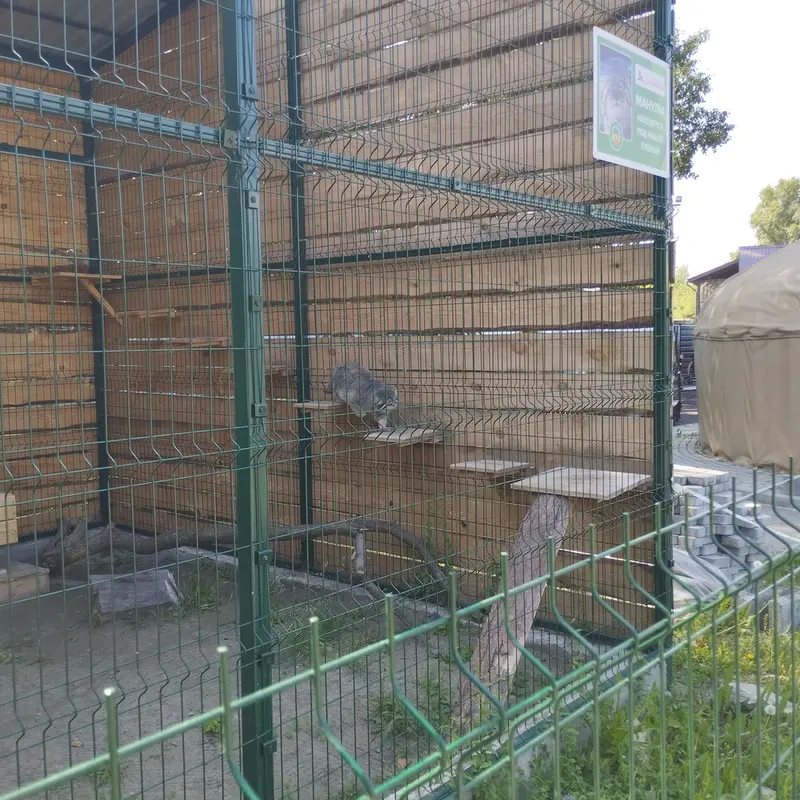 バルナウル動物園「レースナヤ・スカースカ」のチップの写真