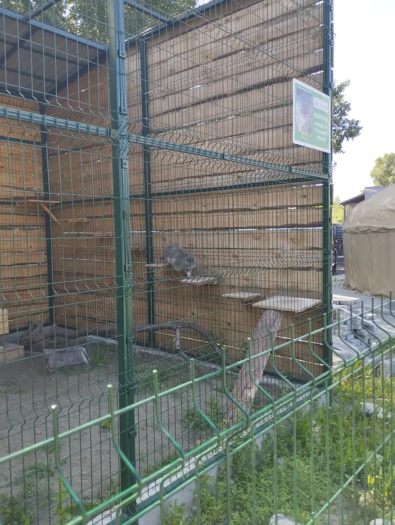 バルナウル動物園「レースナヤ・スカースカ」のチップの写真