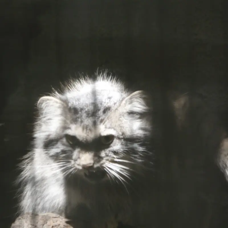 ブダペスト動物園＆植物園のルーシーの写真