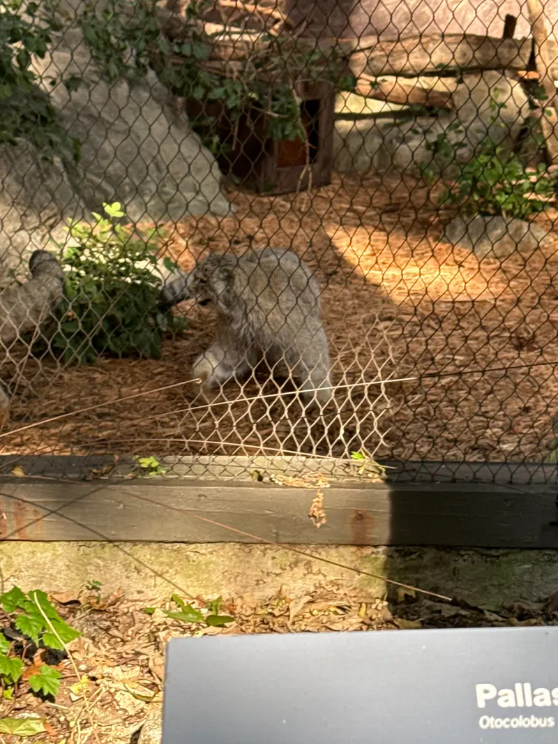 プロスペクト・パーク動物園のバトゥの写真