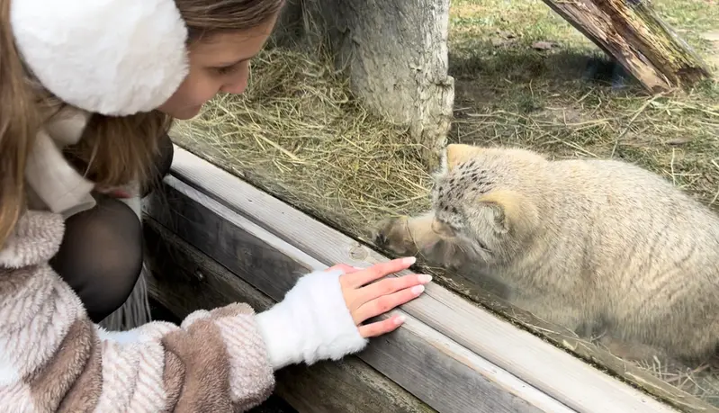 ビンガムトン動物園（ロス・パーク）のマカリの写真