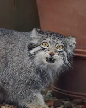埼玉県こども動物自然公園のオトの写真