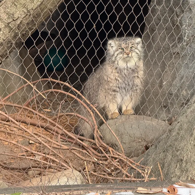 プロスペクト・パーク動物園のサルナイの写真