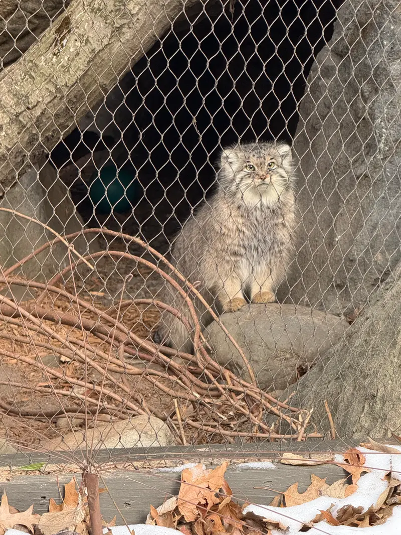プロスペクト・パーク動物園のサルナイの写真