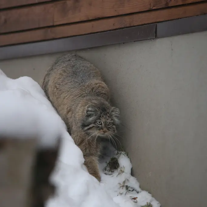 グダニスク動物園のウラの写真
