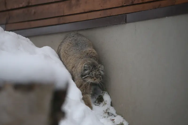 グダニスク動物園のウラの写真