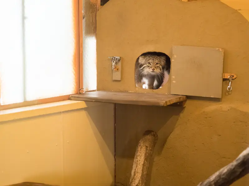 埼玉県こども動物自然公園のオトの写真