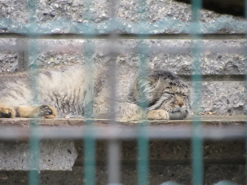 マクデブルク動物園のジョナサンの写真