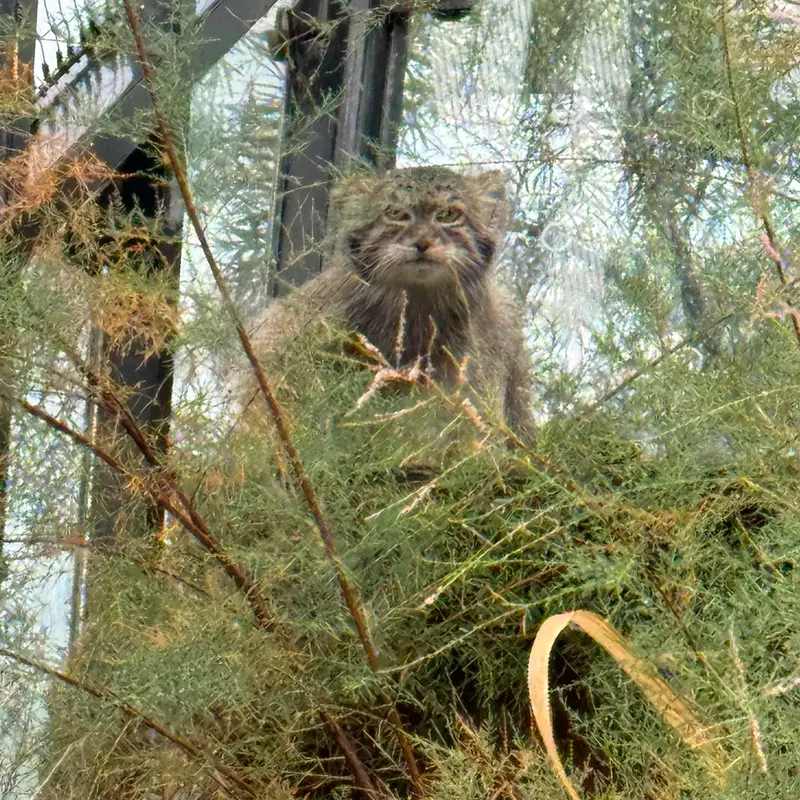 プラハ動物園のスパイの写真