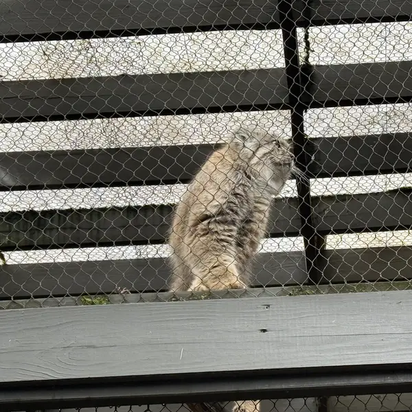 プロスペクト・パーク動物園のバトゥの写真