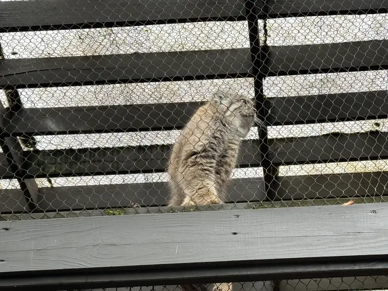 プロスペクト・パーク動物園のバトゥの写真