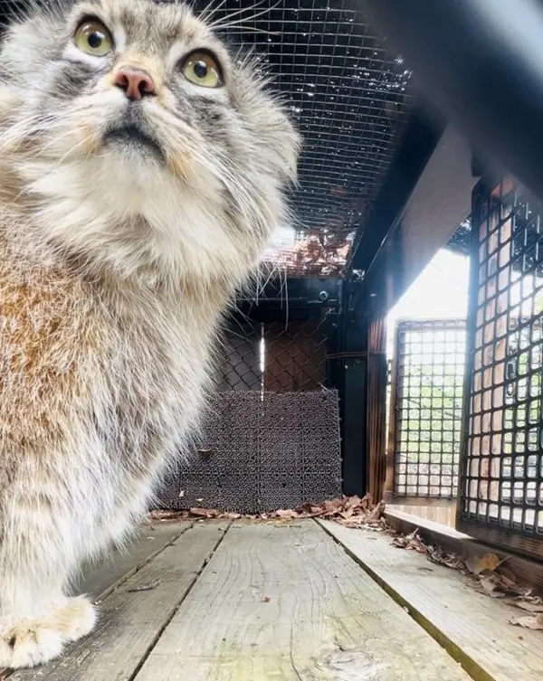 埼玉県こども動物自然公園のオリーヴァの写真