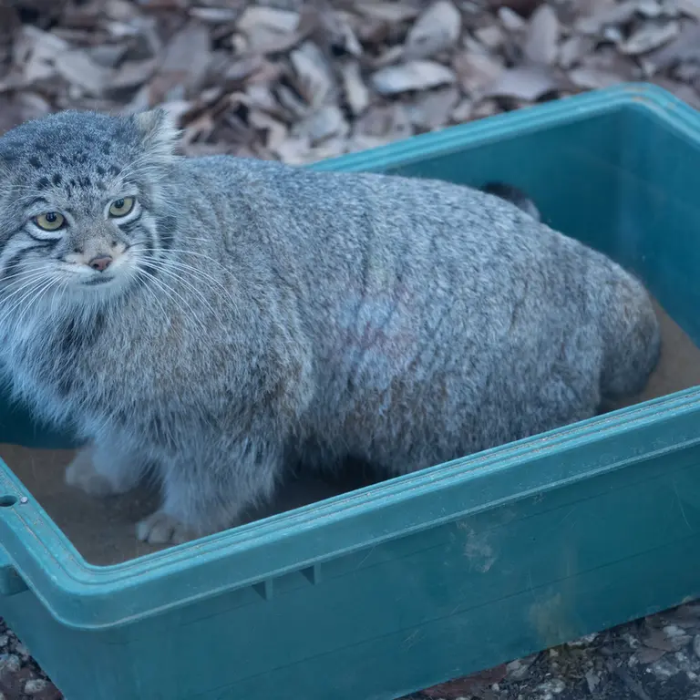 埼玉県こども動物自然公園のオトの写真