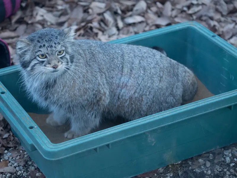 埼玉県こども動物自然公園のオトの写真