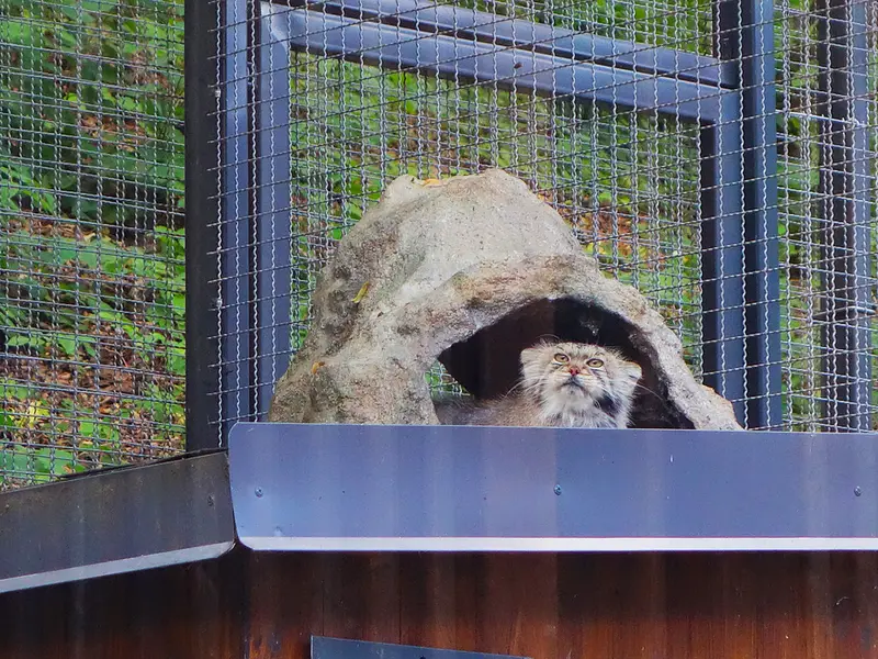 リトアニア動物園のメリッサの写真