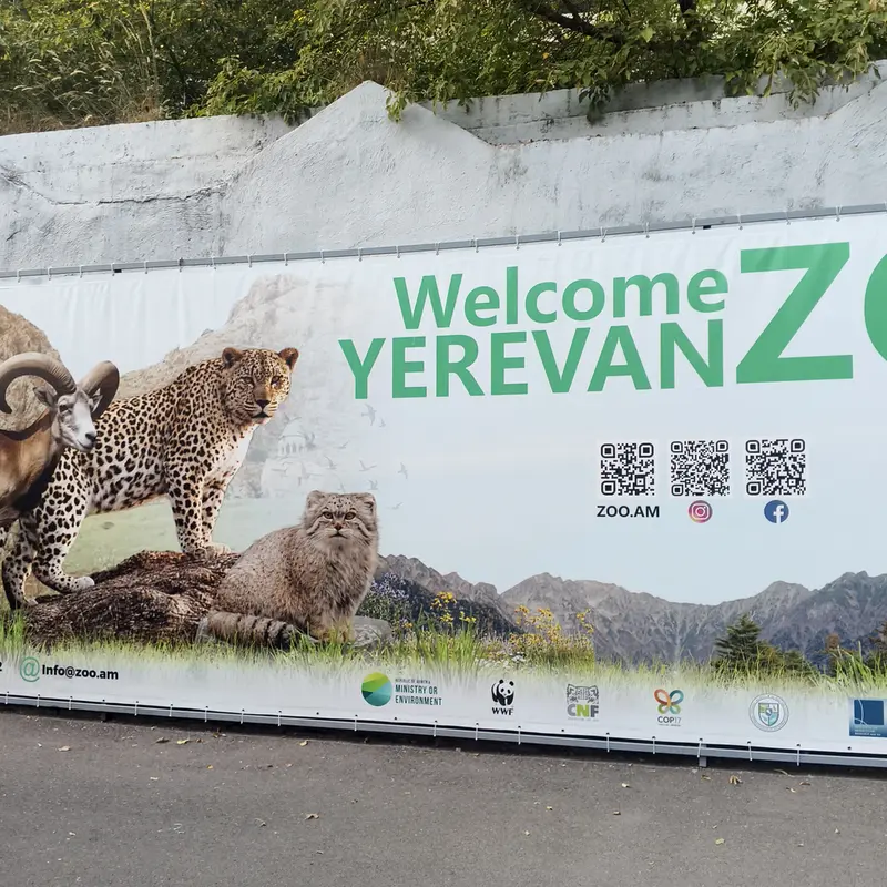 エレバン動物園のマヌルネコの写真