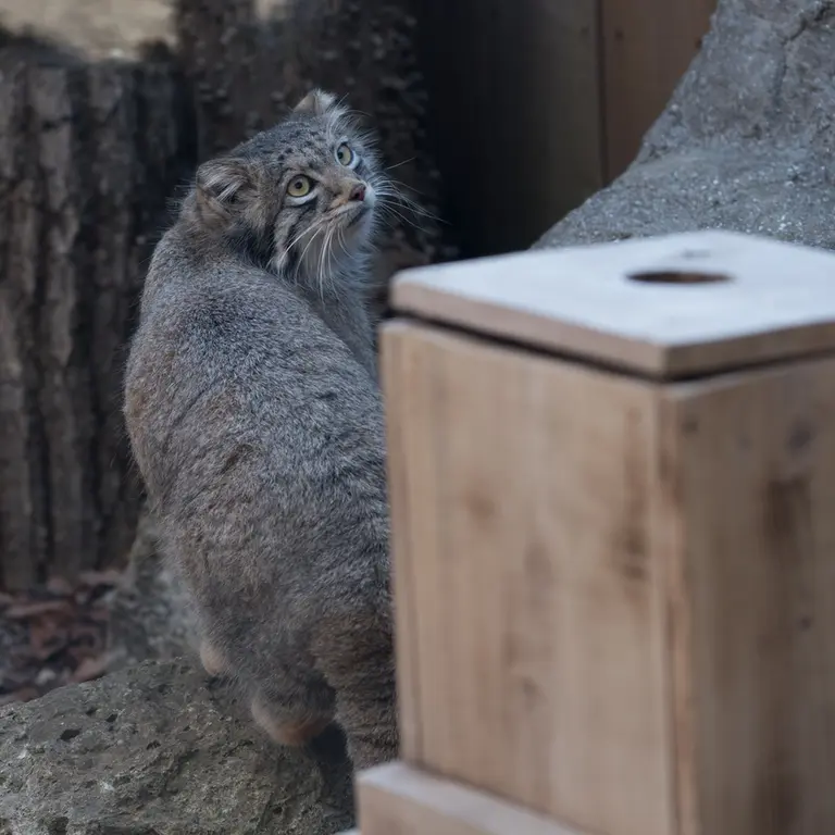 埼玉県こども動物自然公園のオトの写真