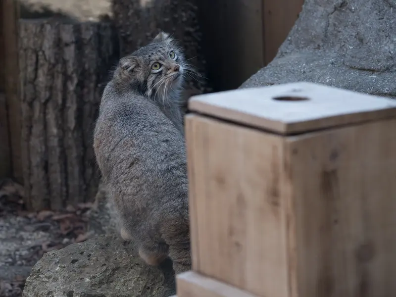 埼玉県こども動物自然公園のオトの写真