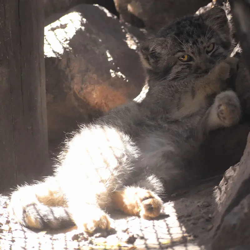 ブダペスト動物園＆植物園のボブの写真