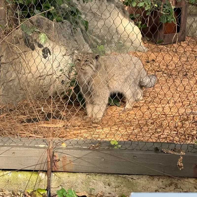 プロスペクト・パーク動物園のバトゥの写真