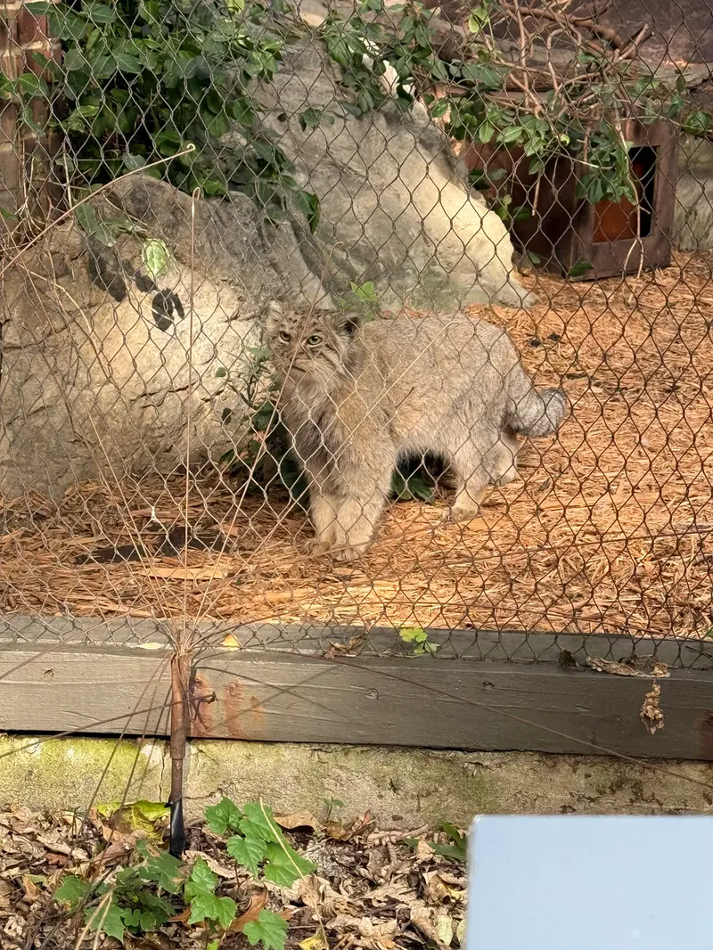プロスペクト・パーク動物園のバトゥの写真