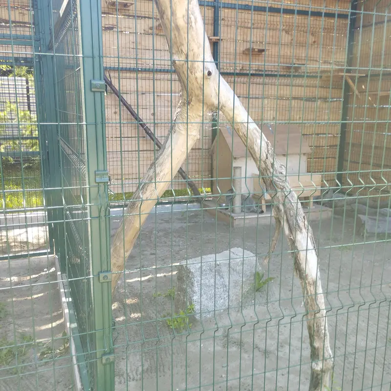 バルナウル動物園「レースナヤ・スカースカ」のチップの写真