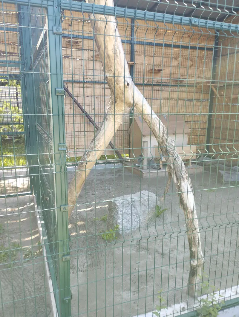 バルナウル動物園「レースナヤ・スカースカ」のチップの写真