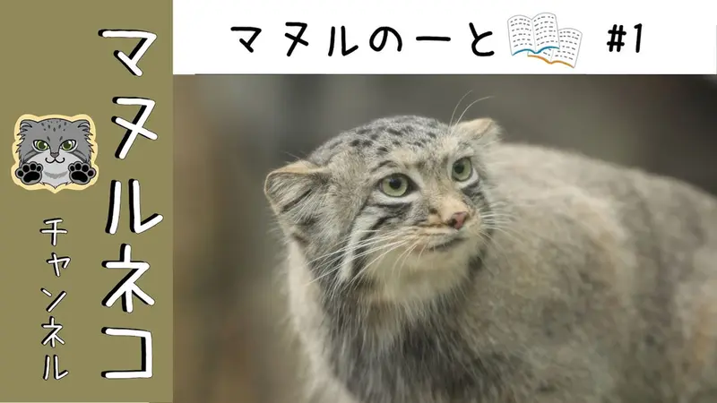 神戸どうぶつ王国のアズとエルの動画