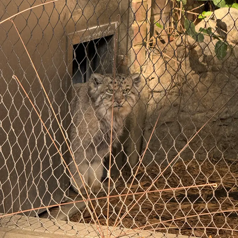 プロスペクト・パーク動物園のバトゥの写真