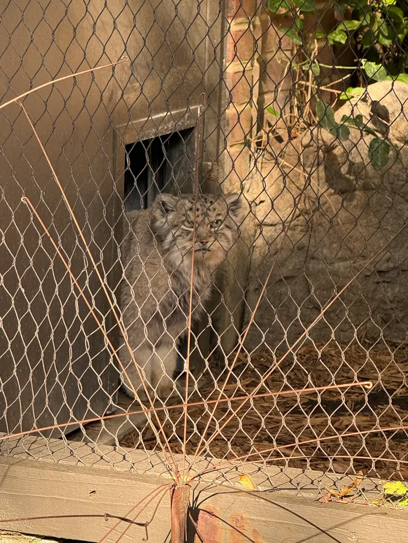 プロスペクト・パーク動物園のバトゥの写真