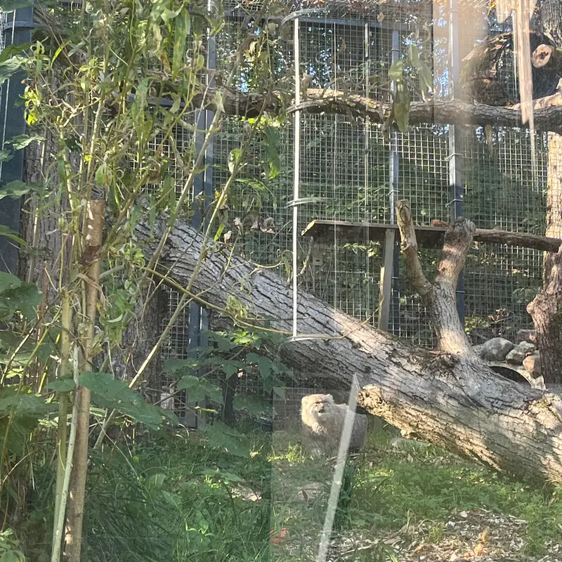 リトアニア動物園のメリッサの写真