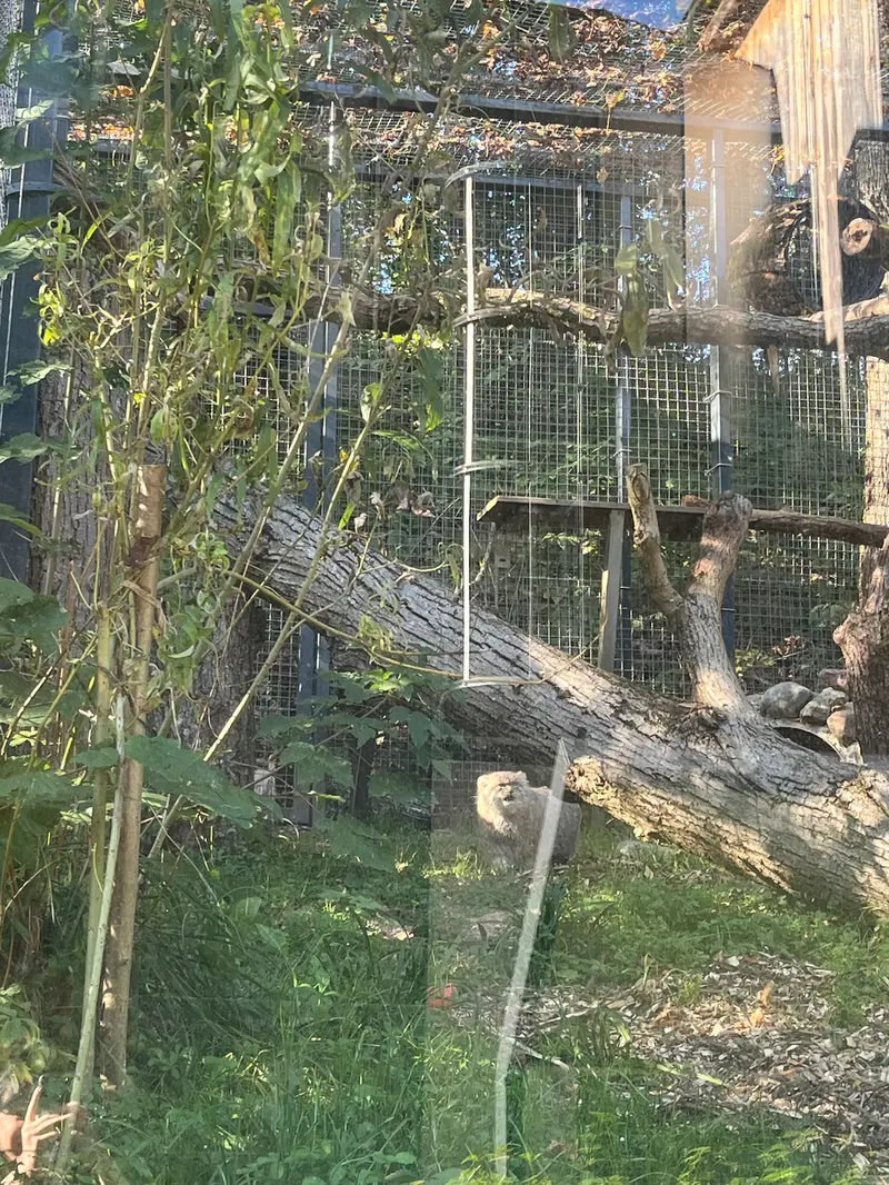 リトアニア動物園のメリッサの写真