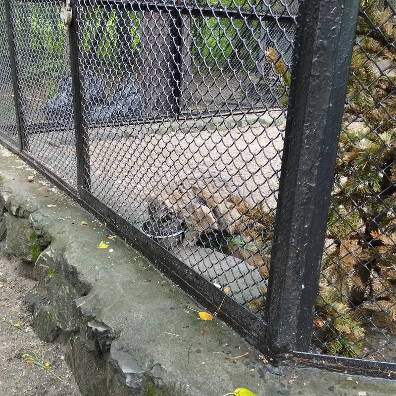 ノヴォシビルスク動物園のゼレノゴルスクの写真