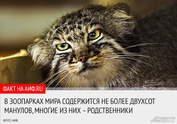 モスクワ動物園のヴァルヴァラの写真