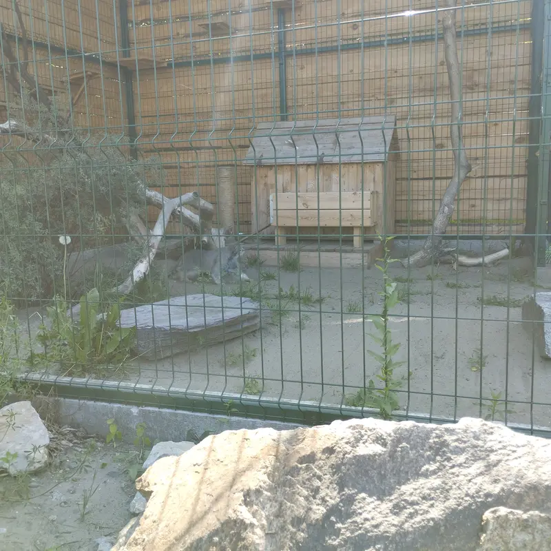 バルナウル動物園「レースナヤ・スカースカ」のペペの写真