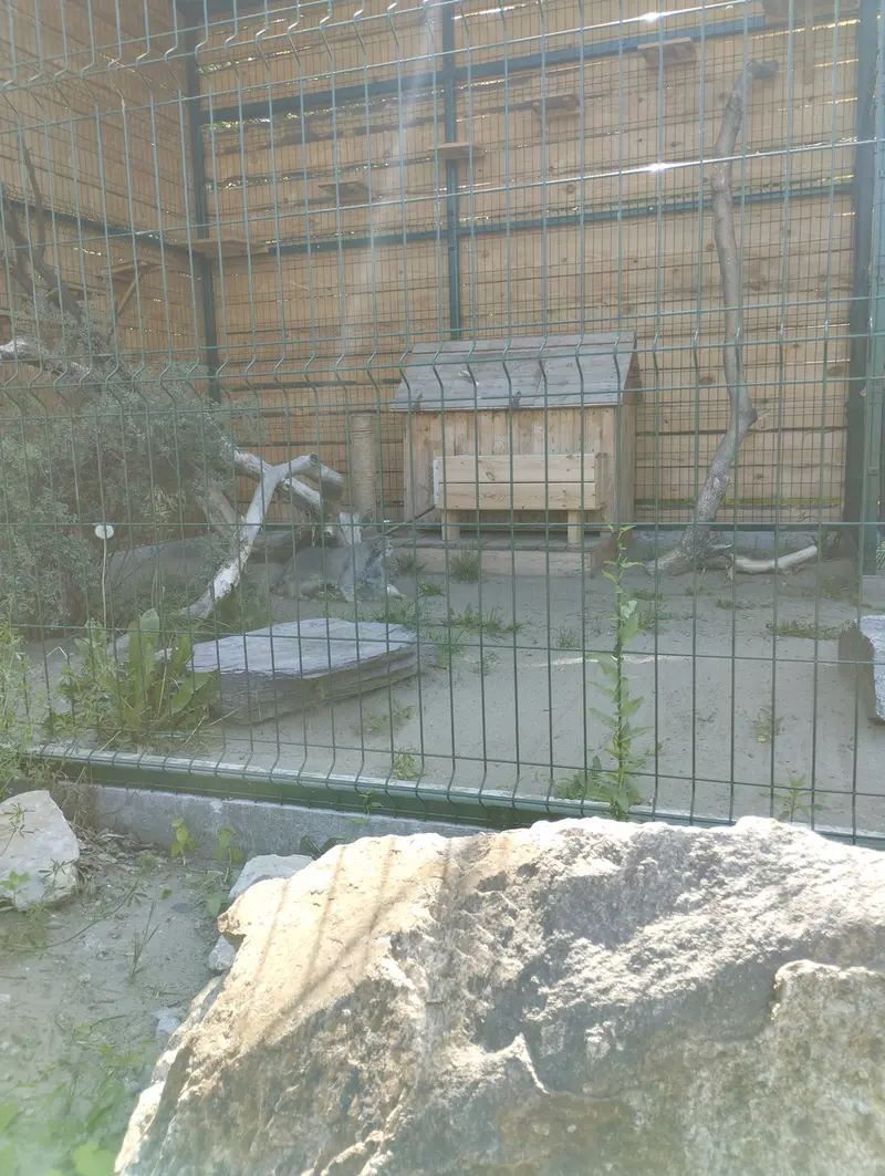 バルナウル動物園「レースナヤ・スカースカ」のペペの写真