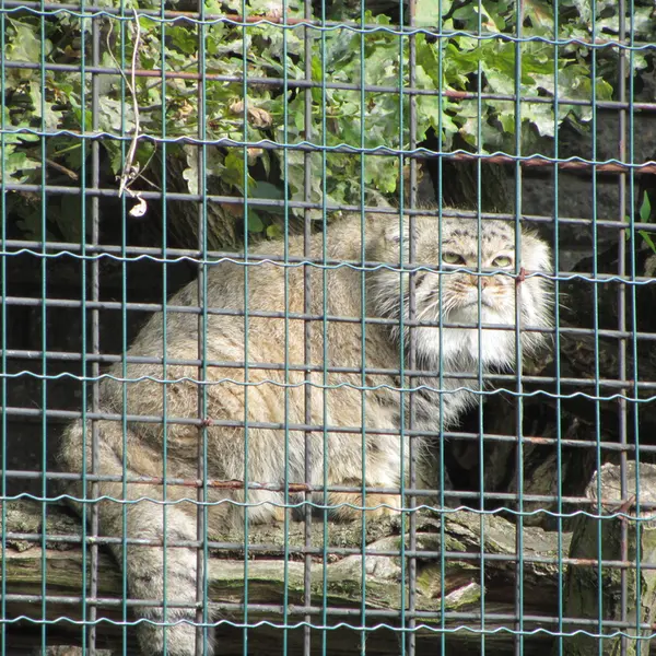 マクデブルク動物園のジョナサンの写真