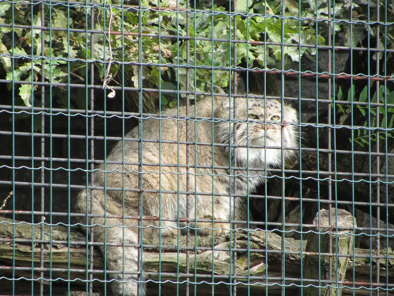 マクデブルク動物園のジョナサンの写真