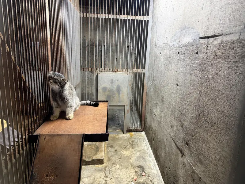 旭山動物園のヒデの写真