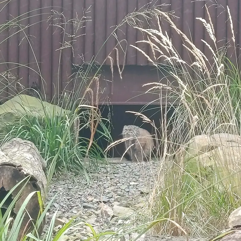 オストラヴァ動物園のモイラの写真