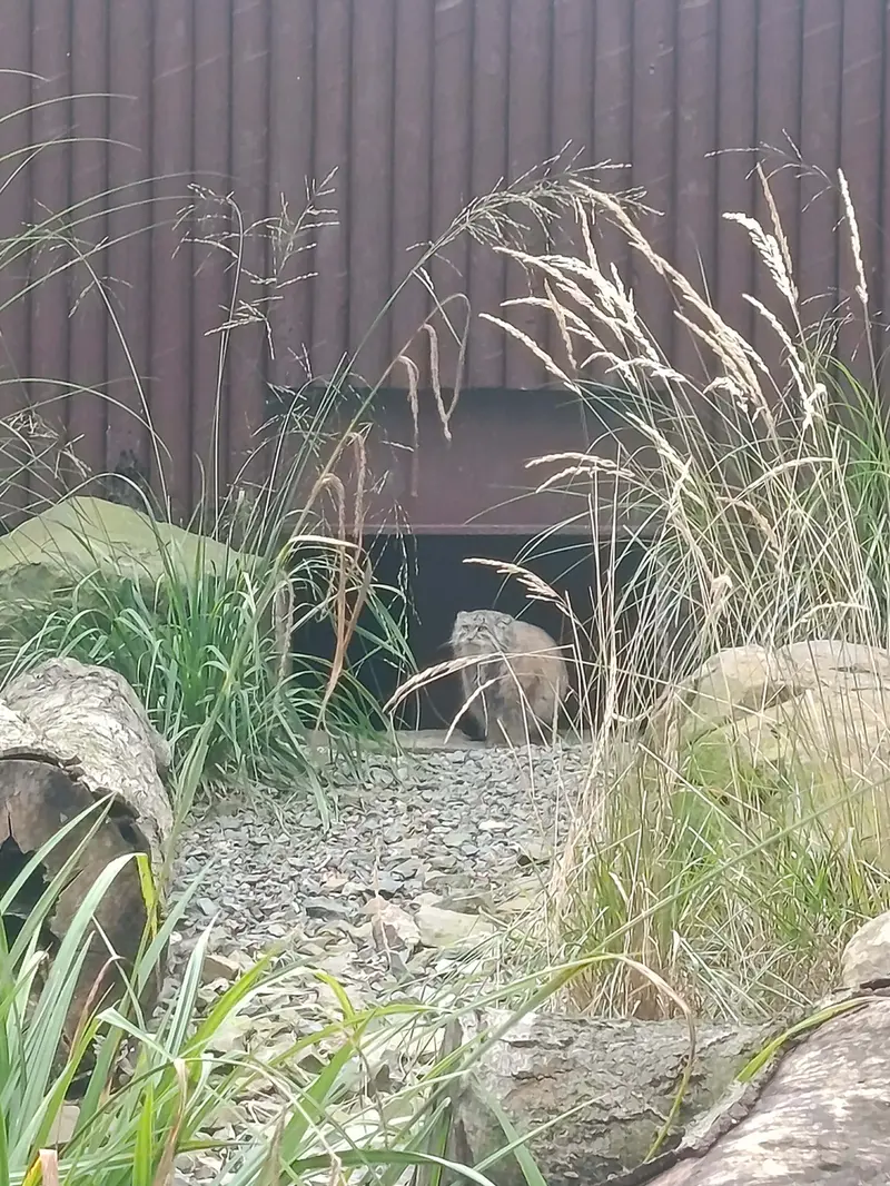 オストラヴァ動物園のモイラの写真