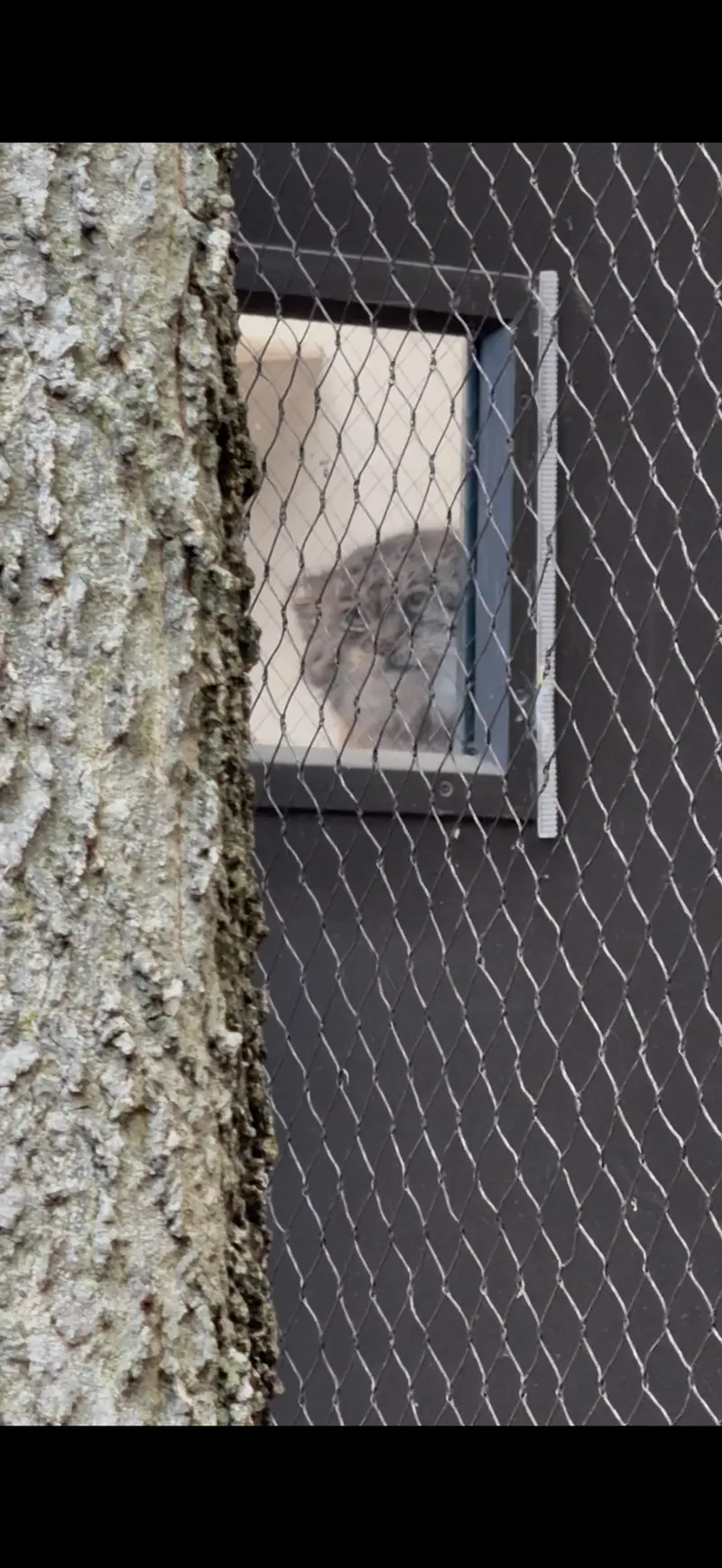 プロスペクト・パーク動物園のサルナイの写真