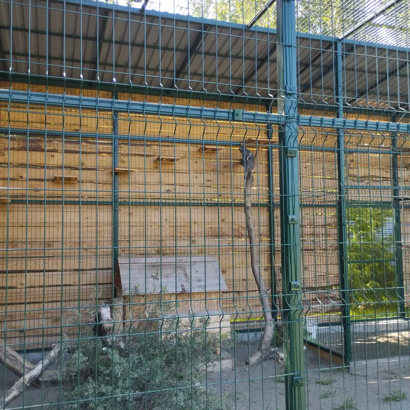 バルナウル動物園「レースナヤ・スカースカ」のペペの写真