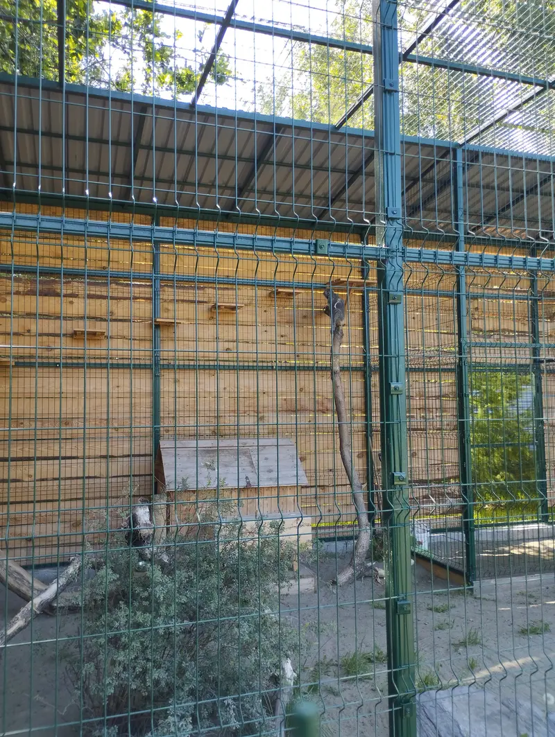 バルナウル動物園「レースナヤ・スカースカ」のペペの写真