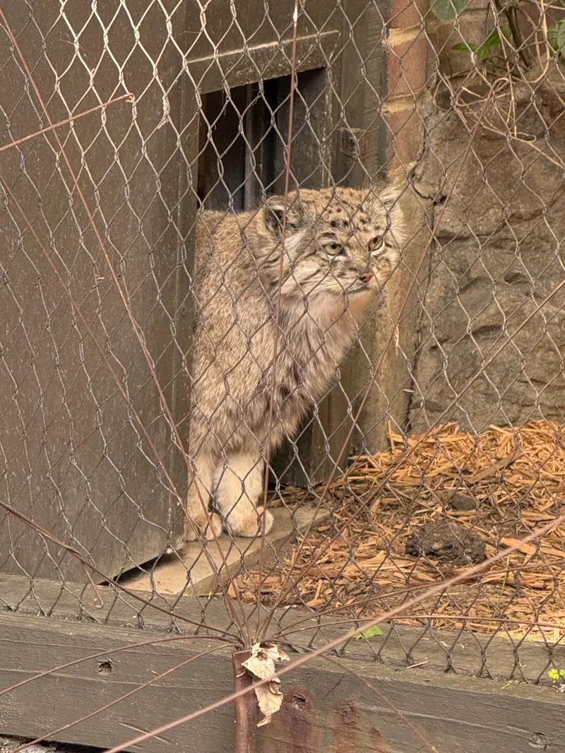 プロスペクト・パーク動物園のバトゥの写真