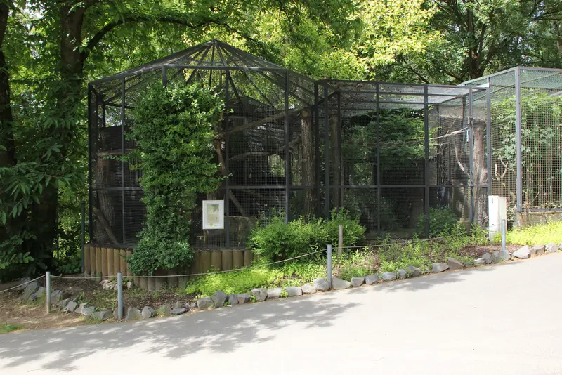 ノイヴィート動物園のマヌルネコの写真