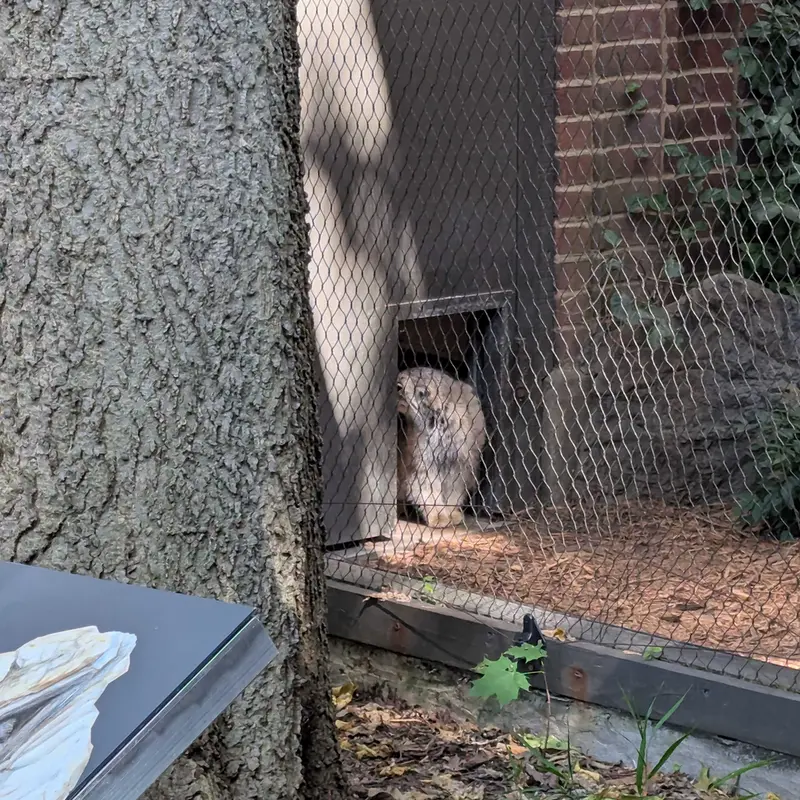 プロスペクト・パーク動物園のサルナイの写真