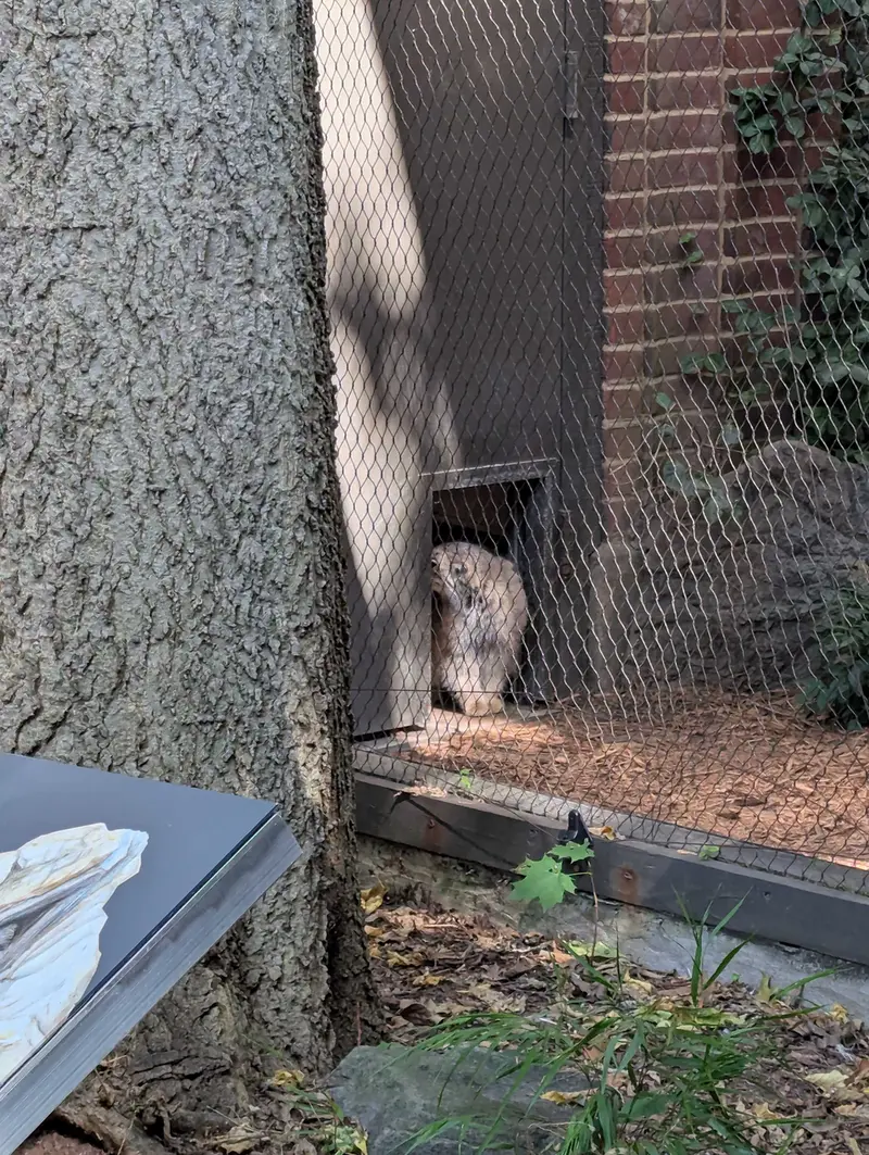プロスペクト・パーク動物園のサルナイの写真