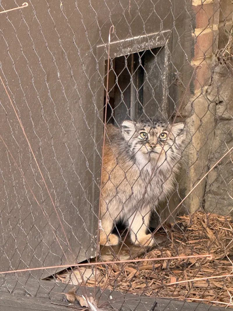 プロスペクト・パーク動物園のサルナイの写真