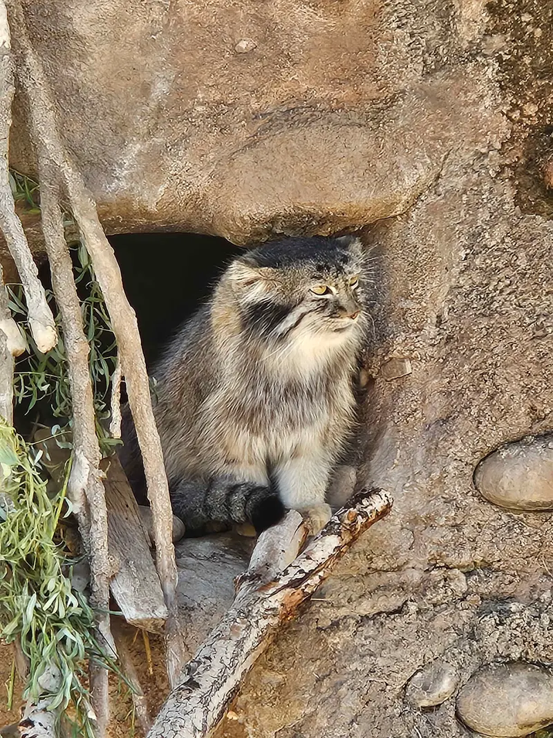ユタ州ホグル動物園のオルダの写真